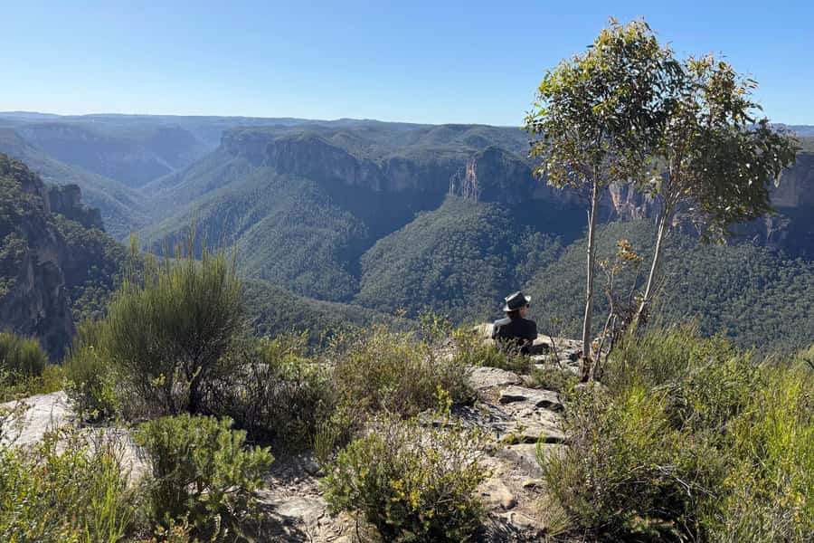 Sydney: Blue Mountains Kangaroos, Wilderness and Sunset Tour - What the $141 price really covers