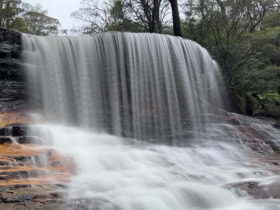 Sydney: Blue Mountains National Park Tour with River Cruise - Key points to know before you book