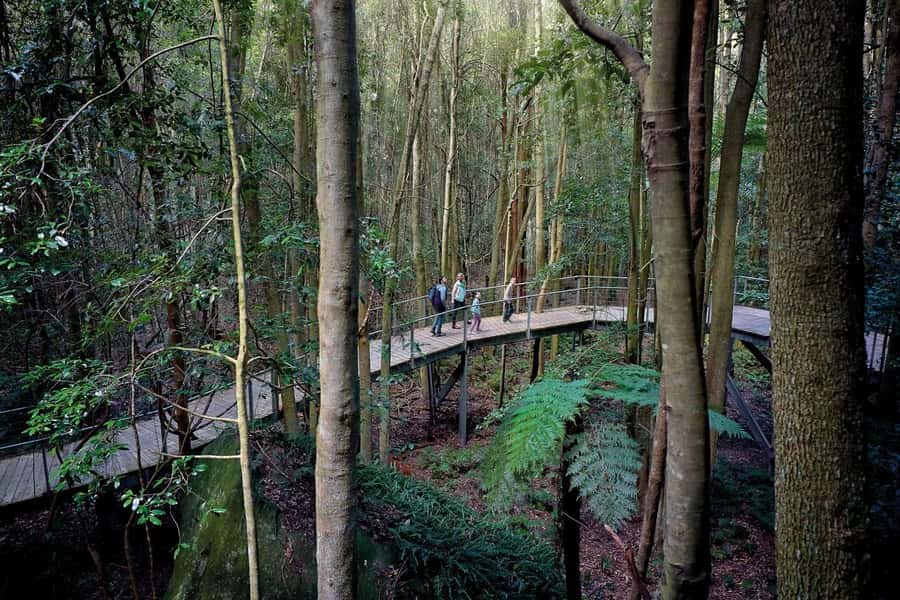 Sydney: Blue Mountains National Park Tour with River Cruise - Waterfalls, bushwalks, and quieter lookouts