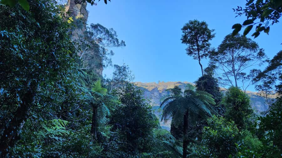 Sydney Blue Mountains, Scenic World, Featherdale - Is $300 per person good value?