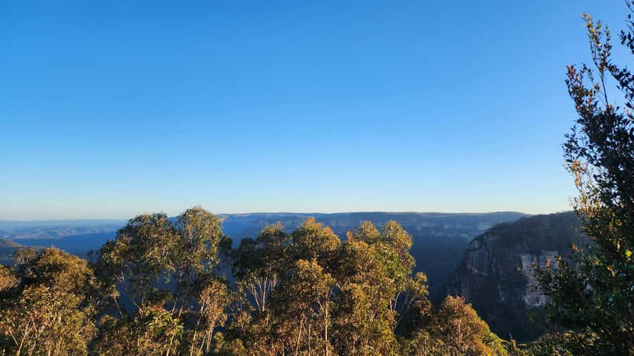 Sydney Blue Mountains, Scenic World, Featherdale (Private) - The pace, vehicle, and guide style