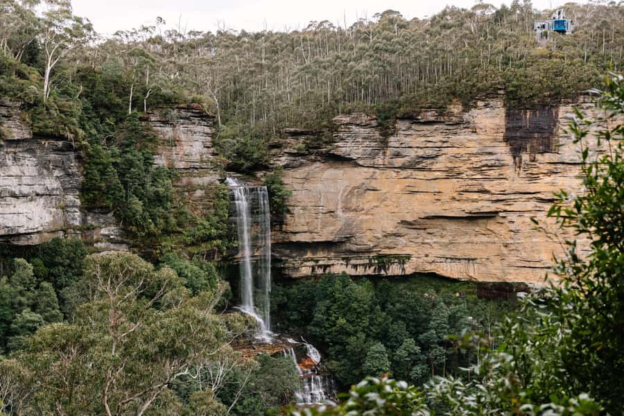 Sydney: Blue Mountains Scenic World, Wildlife Park and Lunch - The guides make a real difference