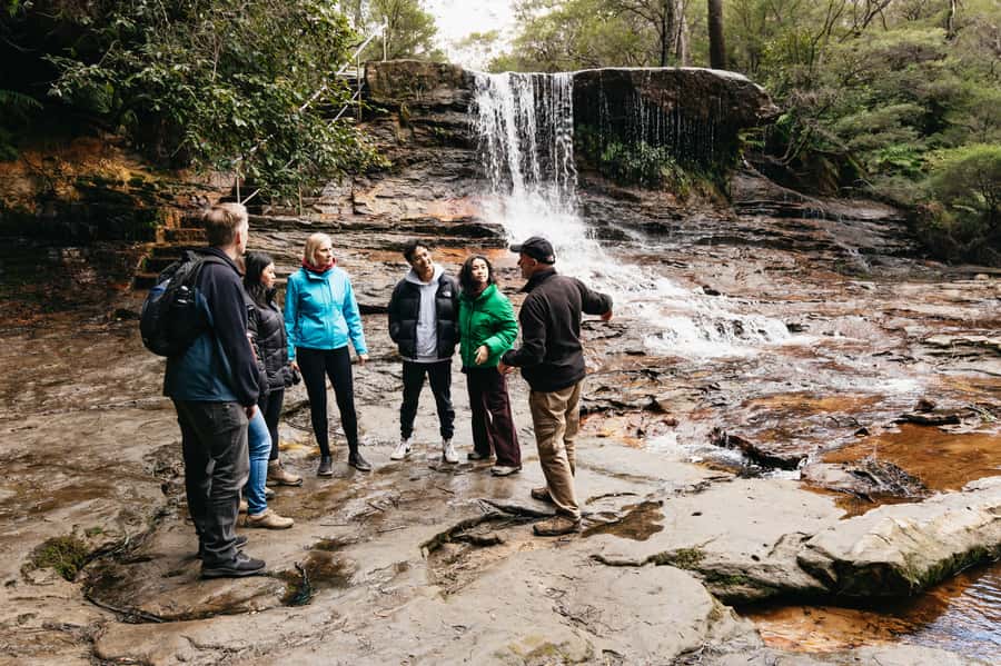 Sydney: Blue Mountains Wildlife & Bushwalk Small-Group Tour - Group size, comfort, and pace