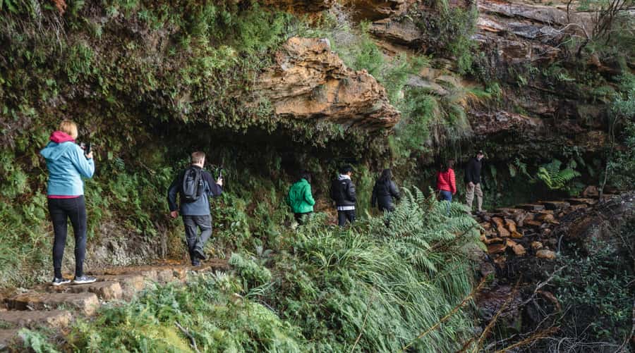 Sydney: Blue Mountains Wildlife & Bushwalk Small-Group Tour - Morning pickup and the long road west