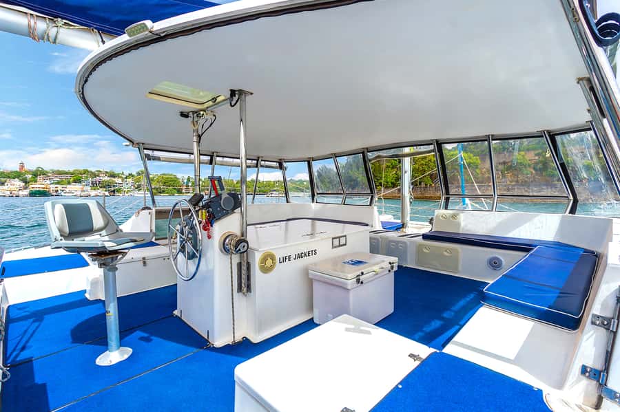 Sydney: Bring Your Own Drinks Vivid Harbour Cruise - Price and practical value at $41