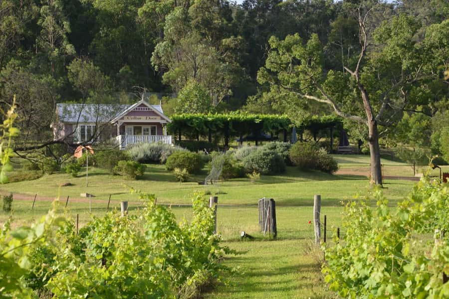 Sydney: Chef-Led Hunter Valley Food & Wine Tour - Chef Jimmy’s mobile kitchen in the Hunter Valley