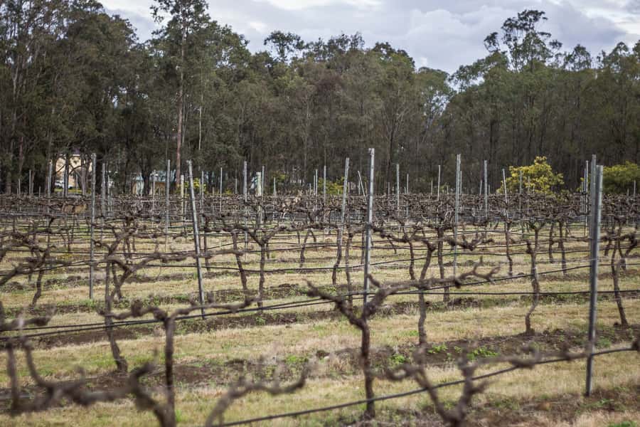 Sydney: Chef-Led Hunter Valley Food & Wine Tour - Chocolate, something sweet, and the final course
