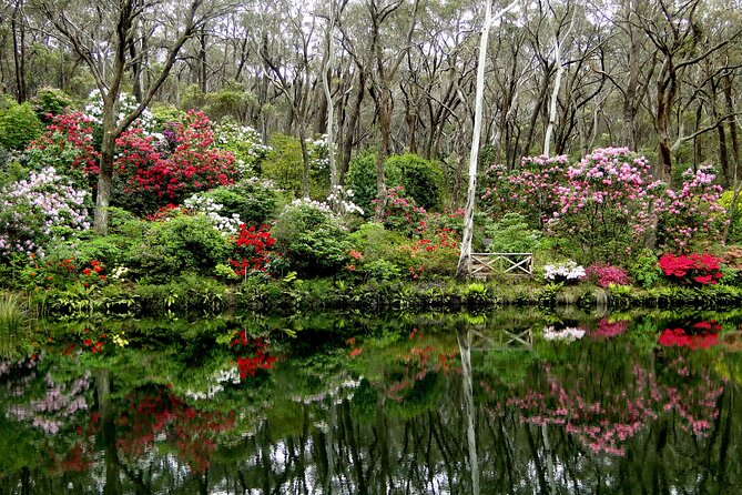 Sydney City and Blue Mountains in One Day Private Tour - Scenic World adds rides, cost, and a timing decision