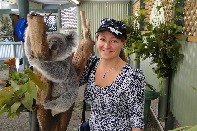 Sydney City and Blue Mountains in One Day Private Tour - Is $471.96 per person fair?