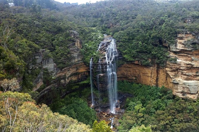 Sydney City and Blue Mountains in One Day Private Tour - The Blue Mountains need more than a quick photo