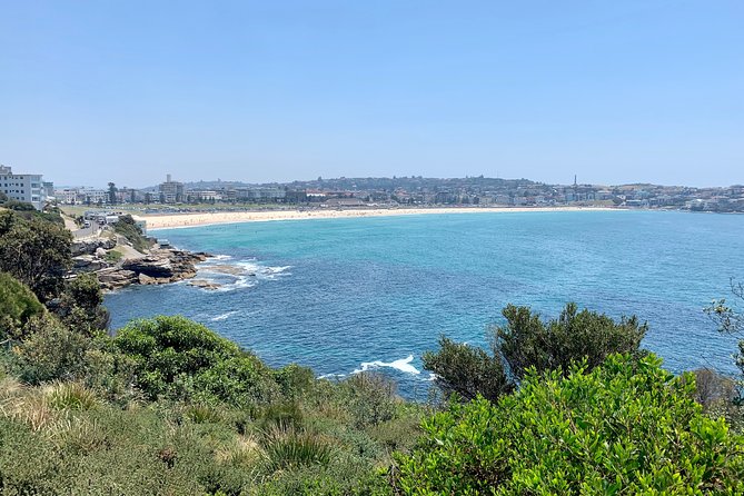 Sydney City, Harbour & Bondi Private Tour, with Airport pick up or drop off - Key points to know before booking