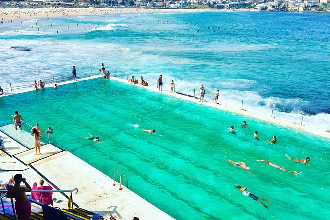 Sydney City, Harbour & Bondi Private Tour, with Airport pick up or drop off - Watsons Bay and the harbour entrance
