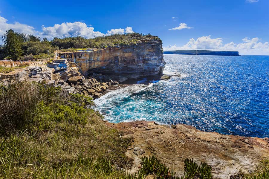 Sydney: City Highlights Private Half-Day Tour - Mrs. Macquarie’s Point and the harbor view