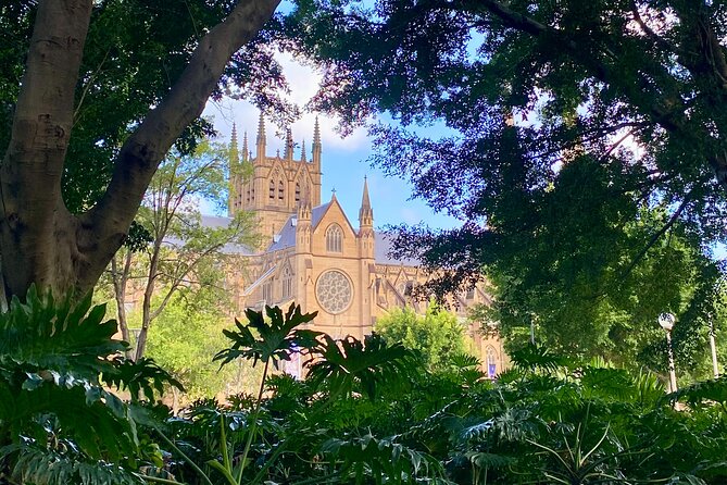 Sydney City Walking Tour - Key points to know before booking