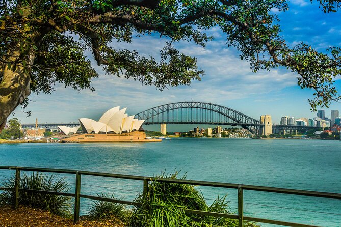 Sydney Combo: Morning Sightseeing to Bondi & Harbour Lunch Cruise - A fast way to see Sydney from two angles
