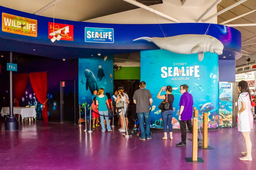 Sydney: Combo Pass for 2, 3, or 4 Top City Attractions - Who will enjoy this most?