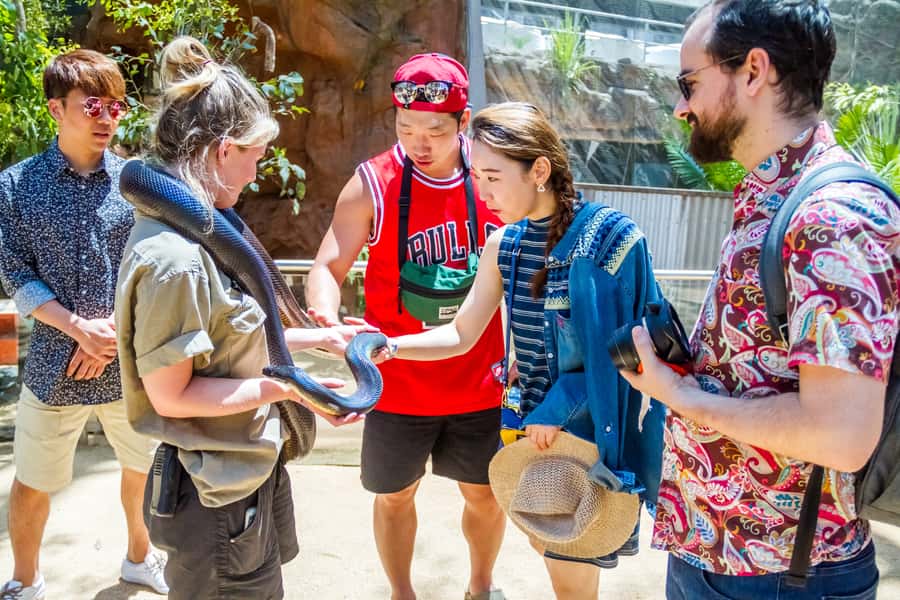 Sydney: Combo Pass for 2, 3, or 4 Top City Attractions - A flexible way to see Sydney indoors