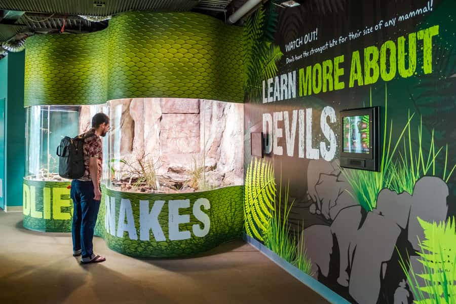 Sydney: Combo Pass for 2, 3, or 4 Top City Attractions - Wild LIFE Sydney puts Australian animals in the city