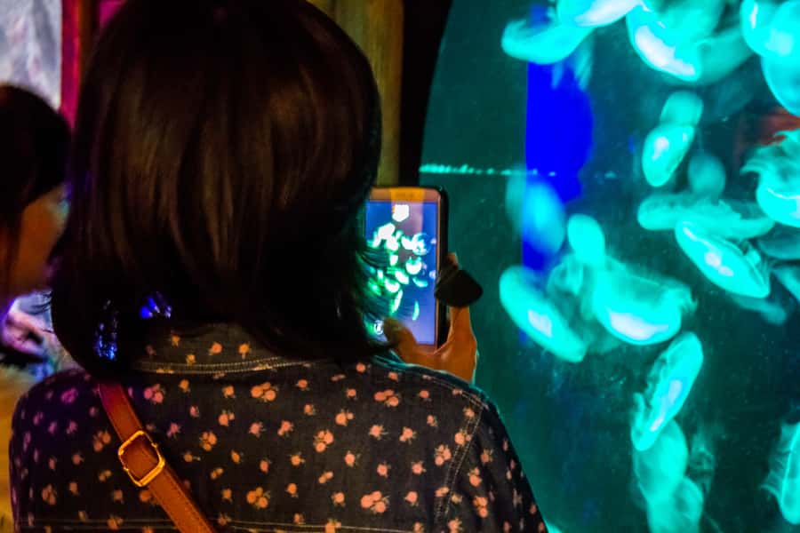 Sydney: Combo Pass for 2, 3, or 4 Top City Attractions - Madame Tussauds adds the playful stop