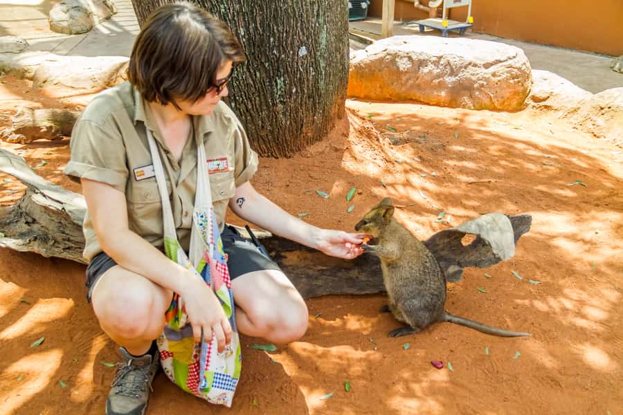 Sydney: Combo Pass for 2, 3, or 4 Top City Attractions - What the phone ticket experience is really like