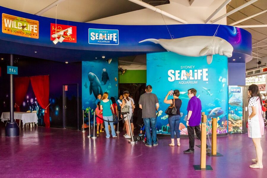 Sydney: Combo Pass for 2, 3, or 4 Top City Attractions - Is the pass good value at $38?