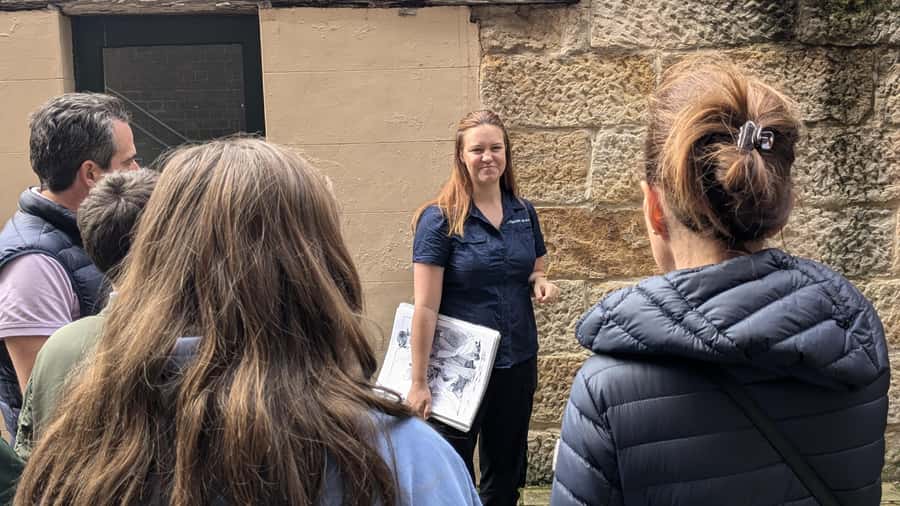 Sydney Convicts, History & The Rocks 2.5-Hour Walking Tour - Why this walk gives Sydney a useful backstory