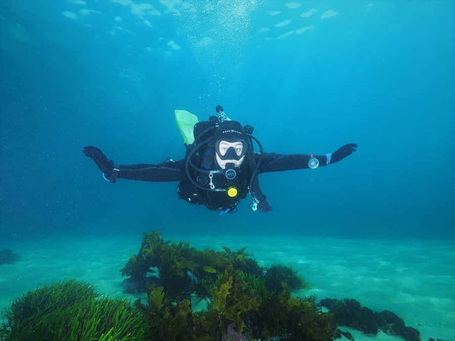 Sydney: Discover Scuba Dive at Australia's most Iconic Beach - Learning the basics before entering the water