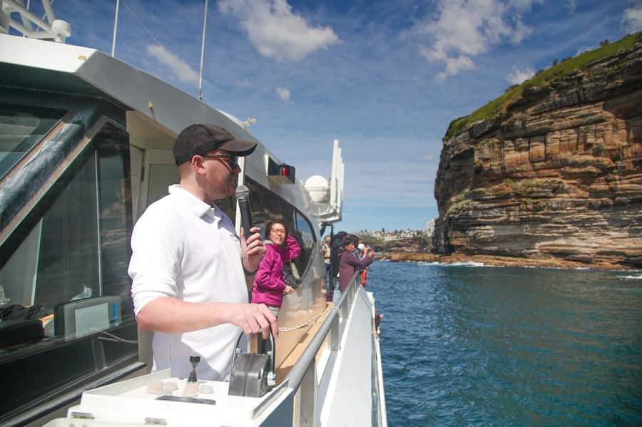 Sydney: Discovery Whale Watching Tour by Catamaran - What the 150-minute schedule feels like