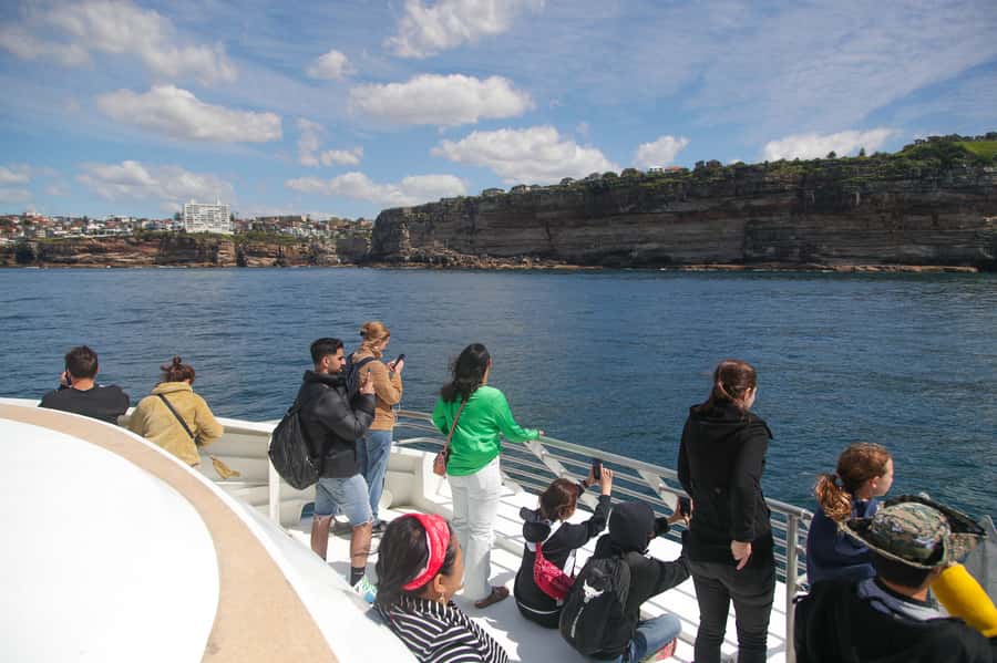 Sydney: Discovery Whale Watching Tour by Catamaran - Handling rough seas and motion sickness