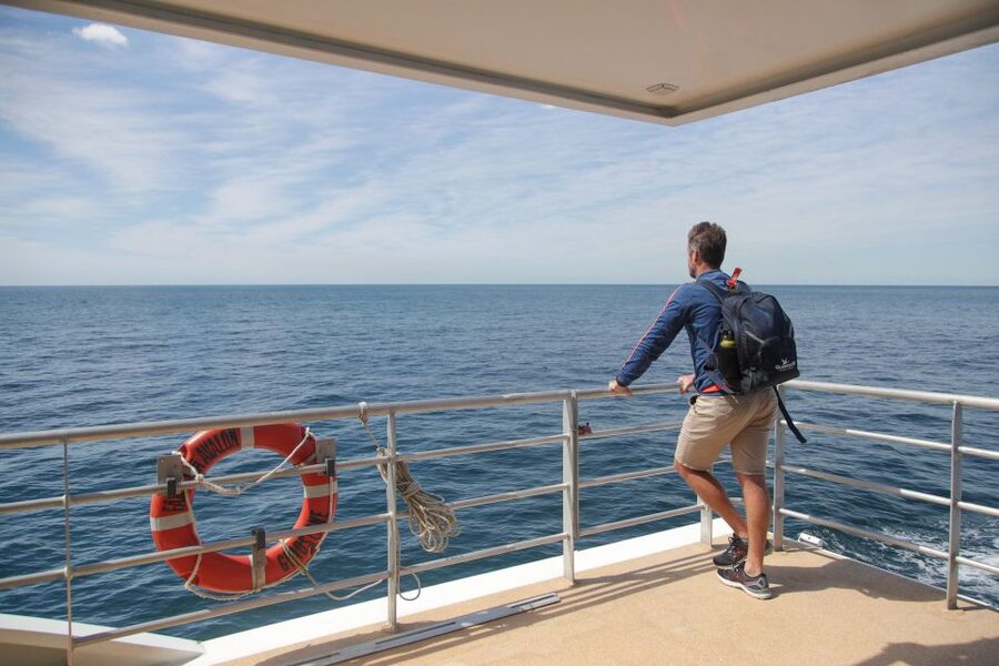 Sydney: Discovery Whale Watching Tour by Catamaran - Commentary, crew, and the onboard atmosphere