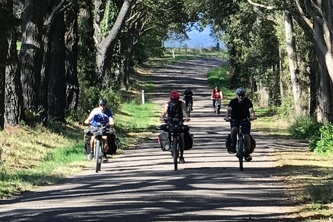Sydney Electric Mountain Bike Guided Tour - The scenery beyond the CBD
