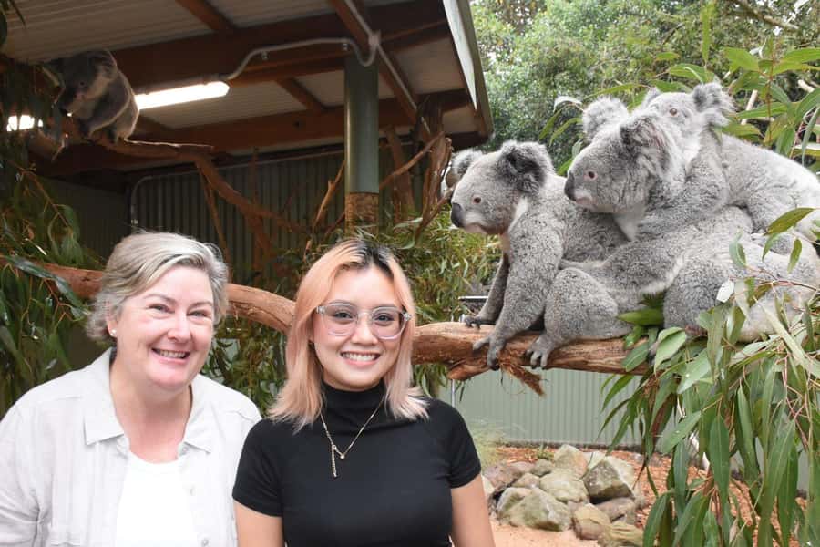 Sydney: Featherdale Wildlife Park Private Tour - Is $211 per person a fair price?