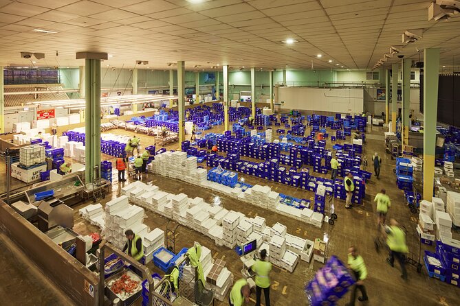 Sydney Fish Market Behind the Scenes Tour - Key points about the 6:00 am market visit