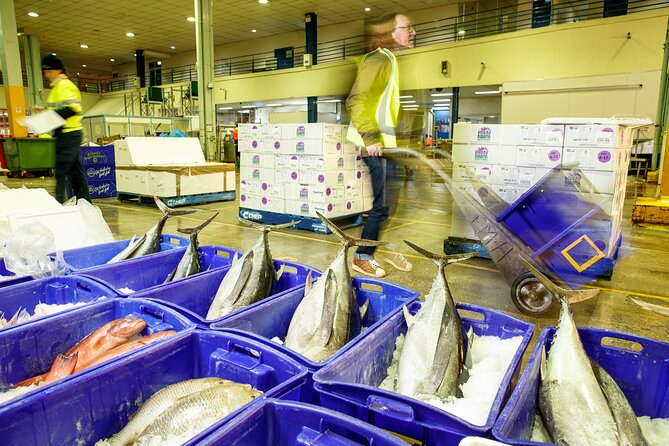 Sydney Fish Market Behind the Scenes Tour - Guides who know the trade