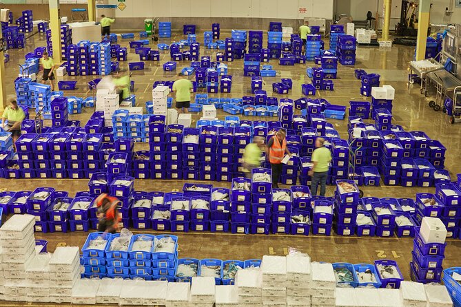 Sydney Fish Market Behind the Scenes Tour - What the $57.38 price includes