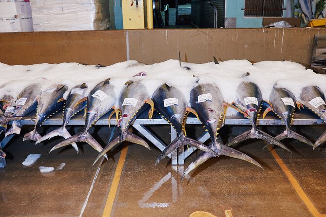 Sydney Fish Market Behind the Scenes Tour - Meeting at 1 Bridge Road before sunrise