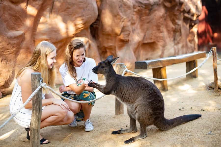 Sydney: Flexi Pass - Pick 3, 5 or 7 Experiences - What the pass is really worth at $112