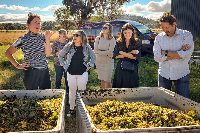 Sydney Grains and Grapes Hunter Valley Wine and Beer with Lunch - Key details before you book