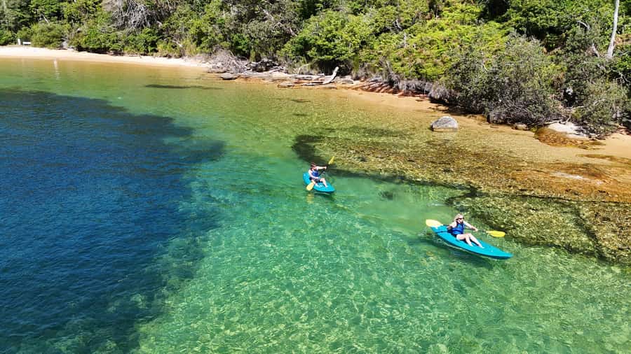 Sydney: Guided Kayak Taster Tour from Manly - Key points to know before booking