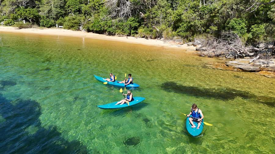 Sydney: Guided Kayak Taster Tour from Manly - Starting beside Manly Yacht Club