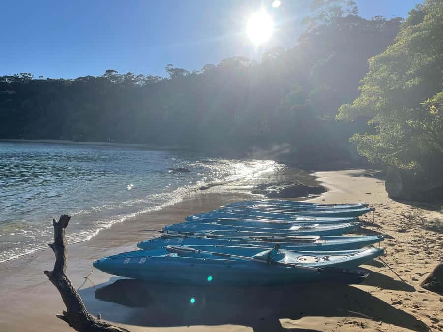 Sydney: Guided Kayak Taster Tour from Manly - Store Beach, the quiet reward