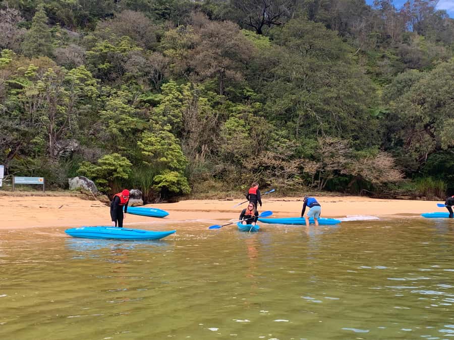 Sydney: Guided Kayak Taster Tour from Manly - What the $46 price buys you