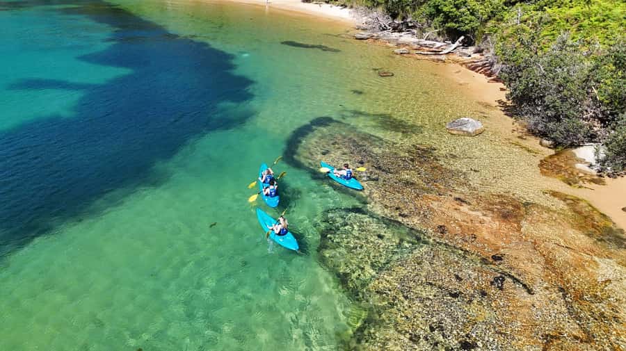 Sydney: Guided Kayak Taster Tour from Manly - Tips for staying comfortable