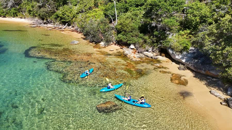 Sydney: Guided Kayak Taster Tour from Manly - Ten minutes to learn the basics