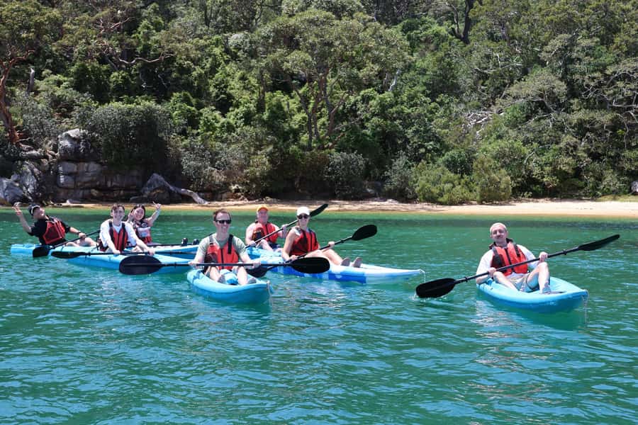 Sydney: Guided Kayak Tour of Manly Cove Beaches - Key points at a glance