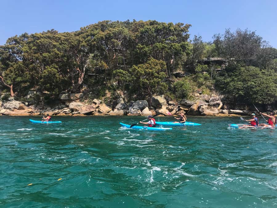 Sydney: Guided Kayak Tour of Manly Cove Beaches - Why Manly Cove works so well from a kayak