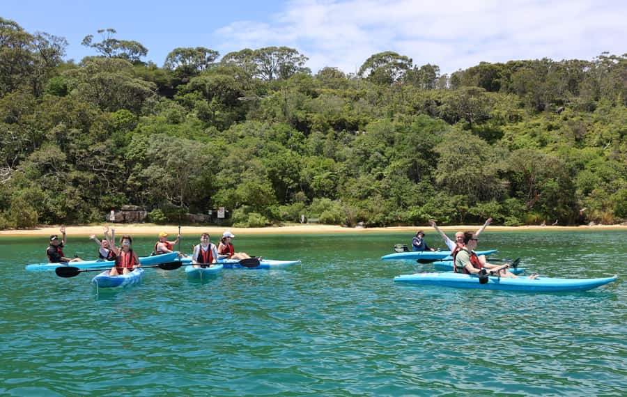 Sydney: Guided Kayak Tour of Manly Cove Beaches - Choosing between a single and double kayak
