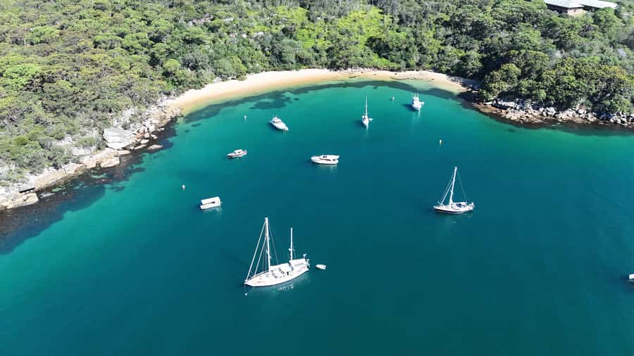 Sydney: Guided Kayak Tour of Manly Cove Beaches - Juice, snacks, and the swim stop