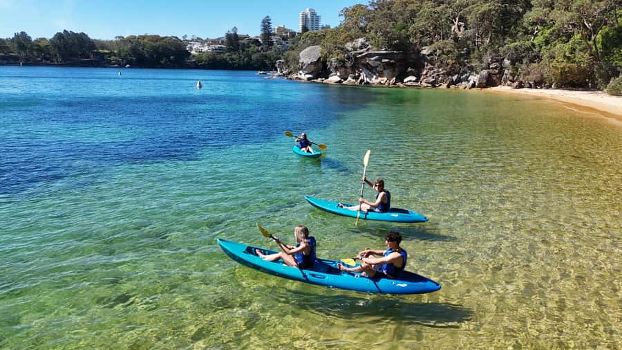 Sydney: Guided Kayak Tour of Manly Cove Beaches - How hard is the paddling?