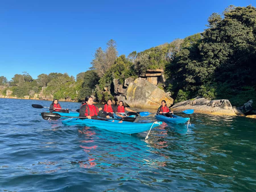 Sydney: Guided Kayak Tour of Manly Cove Beaches - Who should book this Manly activity?